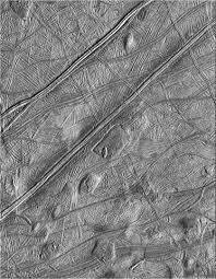 Image result for Blendtone Gray 1977 Hussmann