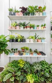 Gardeners provide valuable services but more importantly they provide. The 10 Best Plant Shops In Nyc 6sqft