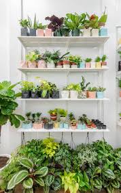 Check out what 2,840 people have written so far, and share your own experience. The 10 Best Plant Shops In Nyc 6sqft