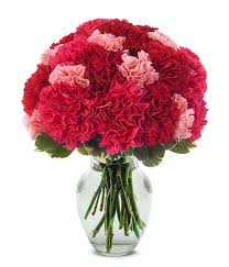 Where can i buy carnations near me. Carnations Carnation Delivery Fromyouflowers
