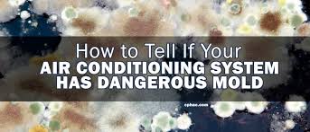 This means that a moldy air conditioner will actually blow microscopic mold spores into the air you breathe, spreading the spores throughout the rest of your home. How To Tell If Your Air Conditioning System Has Mold Canoga Park Heating Air Conditioning