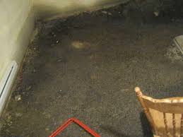 Here's what you need to know to dry out wet carpet. Basement Waterproofing Basement Waterproofing In Saint Lambert Qc Signs Of Water Infiltration In The Basement
