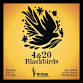Duvall Live Music - 4&20 Blackbirds