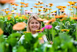 Markets Get A Happy Face With Lynn S Bright Farm Flowers Sunshine Coast Daily
