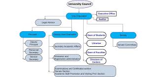 Uobn Organization Chart