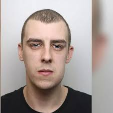 Face of thug who dragged and battered pregnant girlfriend around his flat