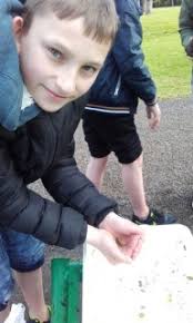 Pond Dipping with Geoff Hunt