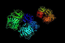 Check spelling or type a new query. Proteina C Reactiva Ce Este Si Ce Se Intampla Atunci Cand Valorile Sale Cresc