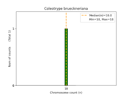 Image result for Coleotrype