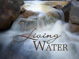 Image result for images Thirsty for the Water of Life jesus