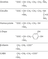 Biogene amine — biogene amine, durch decarboxylierung und zum teil nachfolgende alkylierungsreaktionen aus aminosäuren entstandene primäre amine. Aminosauren Peptide Und Proteine Flashcards Quizlet