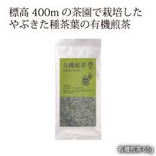 楽天市場 日本茶 お茶 おちゃ にほんちゃ オーガニック ナチュラルハウス 日本茶 有機煎茶 65g オーガニック 有機栽培の茶葉 を使用 にっぽんマルシェ楽天市場店