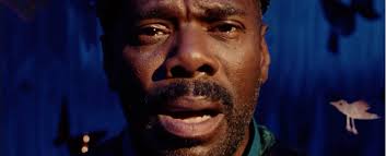 Oscars: Gold Derby's Best Picture Rankings Has 'Sing Sing' in the Lead —  World of Reel