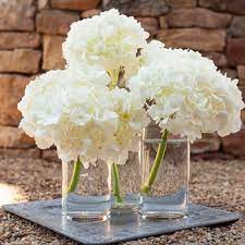 Simply Lush Hydrangea Centerpiece Single Hydrangea Centerpiece Hydrangeas Wedding White Hydrangea Centerpieces