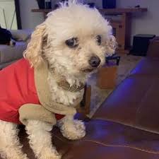 Edith Quiroz Ortiz (@equiroz_o)