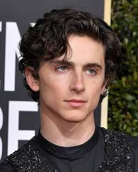 Another thing to add about chalamet's genorsity is that when he worked on the film chalamet was technically saying that he was donating his entire salary he made from the film to three organizations. 32 Curtains And Eboy Haircut Combinations You Should Try In 2021