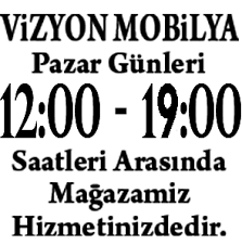 vizyon mobilya