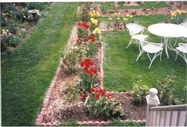 How to start a rose garden. Rose Companion Plants Spring Bulbs Rose Gardening World