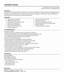 air force officer resume example united