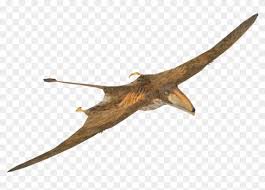 Pterodactyl Transparent Walk With Dinosaur Swallow Hd Png Download 823x525 4327177 Pngfind Studiofibonacci cartoon triceratops clip art. dinosaur swallow hd png download