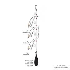 Montage Daiwa D Rig Surfcasting Pro Peche Peche Leurre Materiel De Peche