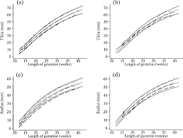 figure 8 from charts of fetal size limb bones semantic