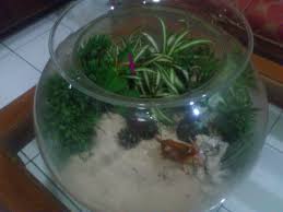 Meskipun kecil dan terlihat mudah, namun ternyata ada beberapa hal yang harus diperhatikan saat membuat terrarium sendiri. Cara Membuat Terrarium Hana