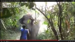 Rute menuju kebun raya bogor pun cukup mudah. Biaya Masuk Kebun Raya Batam Kebun Raya Bogor Antara Mendapatkan Jodoh Atau Kehilangan Local Business In Batam Riau Indonesia