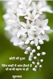 Quotes And Whatsapp Status Videos In Hindi Gujarati Marathi Amazing Flowers Beautiful Flowers White Flowers