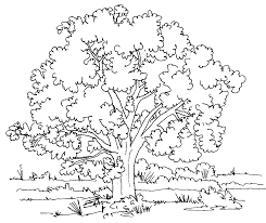 Here is a small collection of autumn coloring fall coloring pages printables for your kid, including some detailed pictures and scenes from the fall season. Free Printable Tree Coloring Pages For Kids