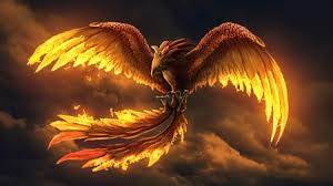 Maybe you would like to learn more about one of these? Phoenix Bird Fantasy Abstract Background Wallpapers On Desktop Nexus Image 2595102