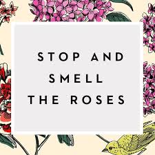 Stop And Smell The Roses Happy Quotes Words Quotes Quotes