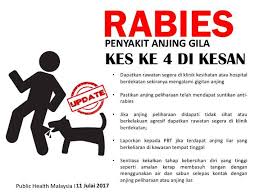 Viral load yang dibawa per individu. Update Kes Ke 4 Rabies Di Kesan Public Health Malaysia ÙÙŠØ³Ø¨ÙˆÙƒ