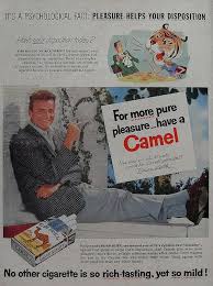 Sales of camels dropped an astounding 30%. 1934: Pin On Advertising And Design