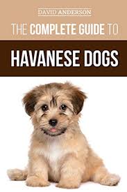 We strive to breed havanese according to the akc standard. Average Price Havanese Puppy Gateway Havanese
