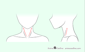 How To Draw Anime Neck Shoulders Animeoutline Anime is a popular animation and drawing style that originated in japan. how to draw anime neck shoulders