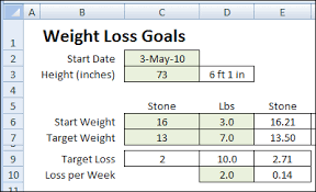 How To Make Excel Weight Loss Tracker Stones
