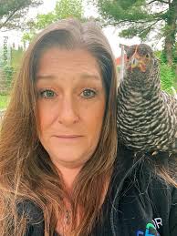 If anyone's interested I have Fresh eggs. 3 cartons left . 4$ for 18