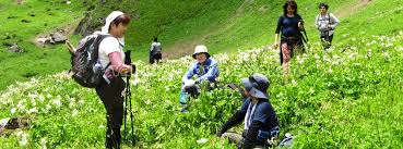 All information about valley of flowers trekking. Hemkund Sahib Trek Valley Of Flowers Badrinath And Auli Tour Packages