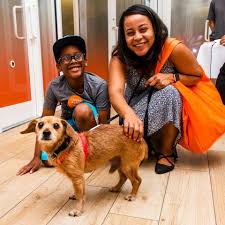 Best Friends Pet Adoption Center in SoHo NYC | Best Friends Animal Society