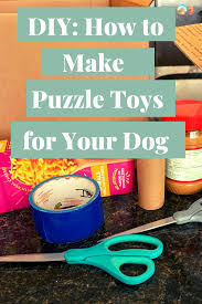 Check spelling or type a new query. Diy Make Puzzle Toys For Your Dog Using Recycling Tails Of Connection How To Connect With My Dog Online Dog Training Strengthen Your Bond Dog Owners