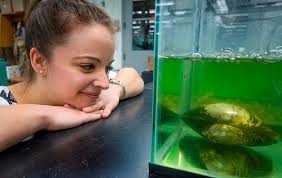 Environmental Research Provides Key Insights for Mercury Cleanup; Virtual  Capabilities Help Engineers Design Hanford Tank Farm Surface Barrier; and  much more!