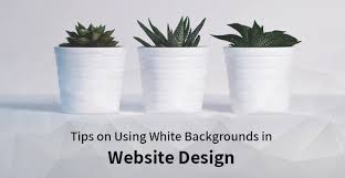 Follow these instructions for the perfect website background images. Tips On Using A White Background In Website Design Skt Themes