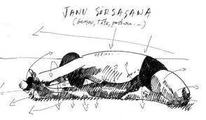 Fiches Techniques De Quelques Asanas De Base Dessins De Vincent Hufty D Apres Les Photos De Bks Iyengar Dans Light On Yoga Yoga Dipika Yoga Photos