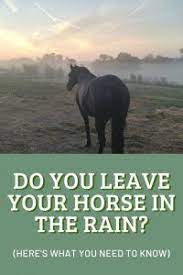 Leaving Horses Out In The Rain Everything You Need To Know