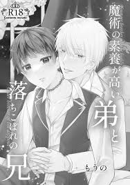 オリジナル】魔術の素養が高い弟と落ちこぼれの兄 - 同人誌 - エロ漫画 momon:GA（モモンガッ!!）