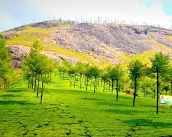 Image of Photo Point Munnar