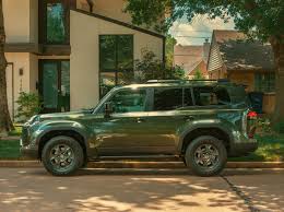 Image result for Nori Green 2025 LZ