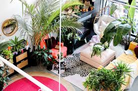 More images for grow lights minneapolis » Homebound Minnesotans Stay Grounded With Houseplants Star Tribune