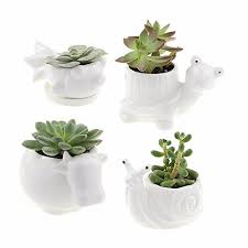 Our cute ceramic animal planters are adorable planters for your home or office. Set Of 4 White Ceramic Animal Planter Pots Snail Turtle Cow And Fish Buy Ceramic Animal Planter Pots Snail Planter Pots Turtle Planter Pots Product On Alibaba Com